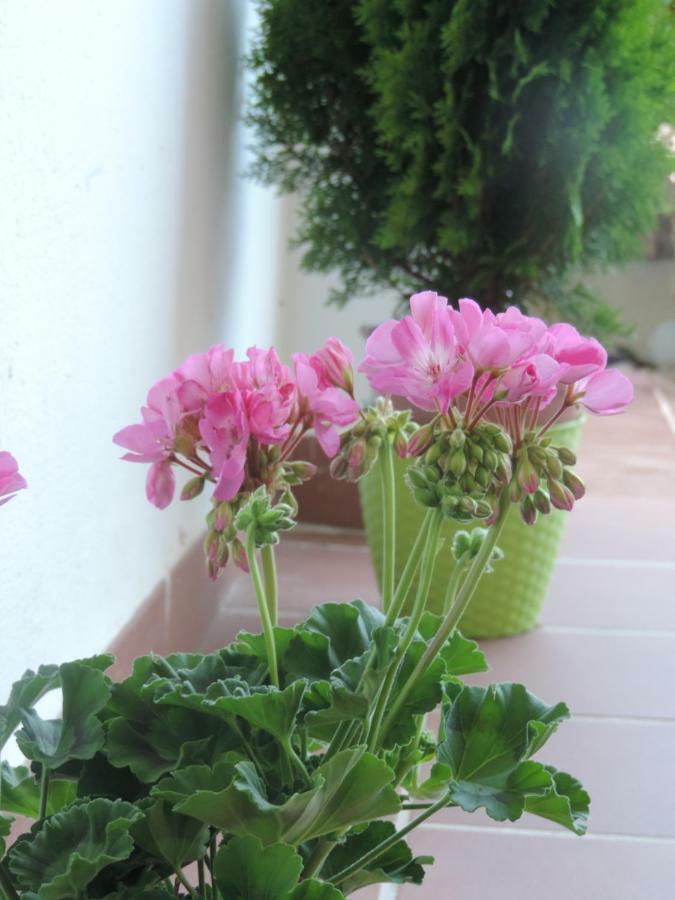 Casa Brisa Marina 维拉 外观 照片
